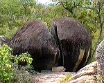 Granite Gorge near Mareeba