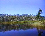 Noosa Everglades