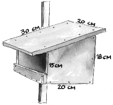 halboffenes Nistkastenmodell