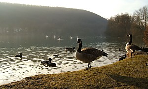 Itzelberger See