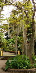 Im Botanischen Garten