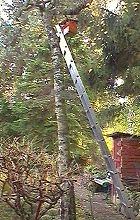 nest box in the tree