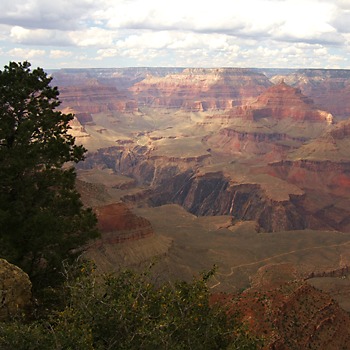 Grand Canyon N.P.