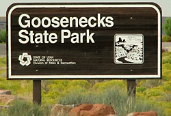 Goosenecks S.P.