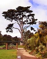 Botanic Garden