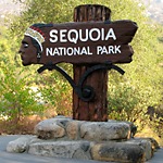 Sequoia N.P.