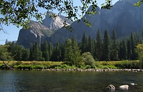 Yosemite N.P.