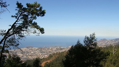 Blick auf Funchal
