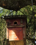 great tit nestbox